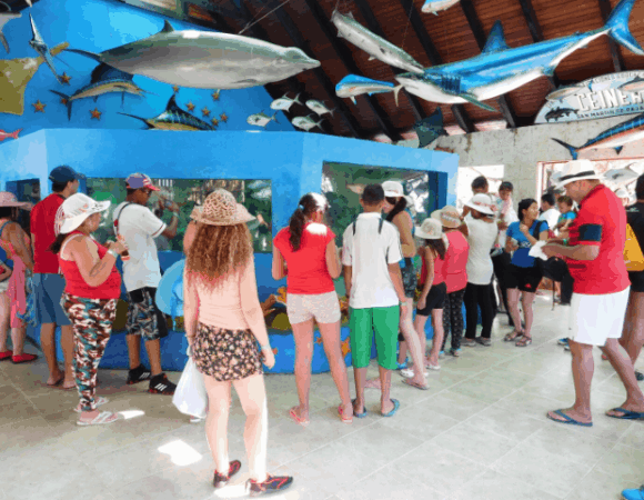 Oceanario en Cartagena