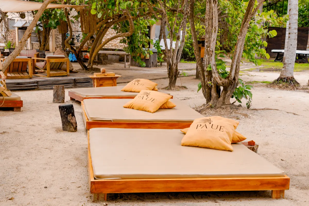 Isla Paue - Imagen 6