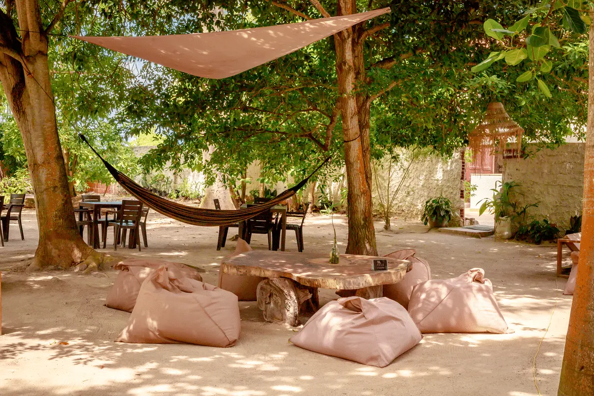 Isla Paue - Imagen 14