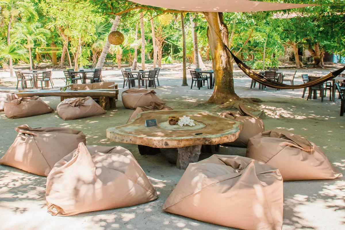 Isla Paue - Imagen 9