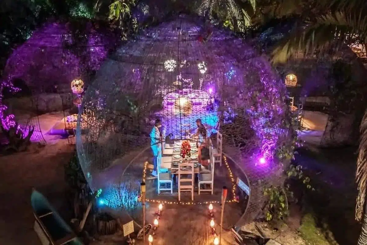 Cena en la Playa - Image 6