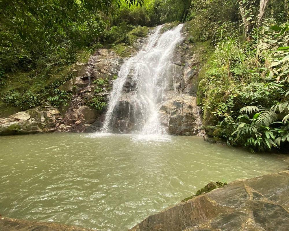 Tour Minca desde Cartagena - Imagen 8