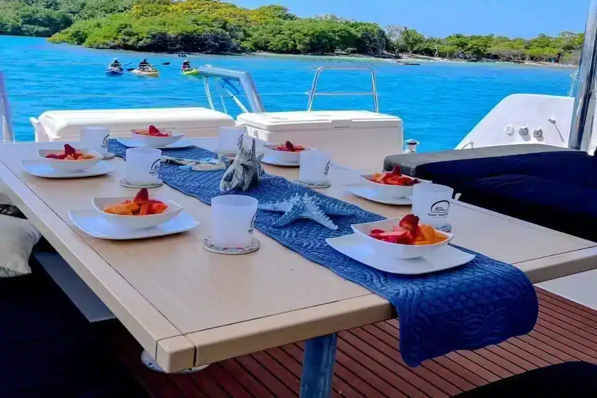 Catamarán Powercat Sea Warriors - Image 14