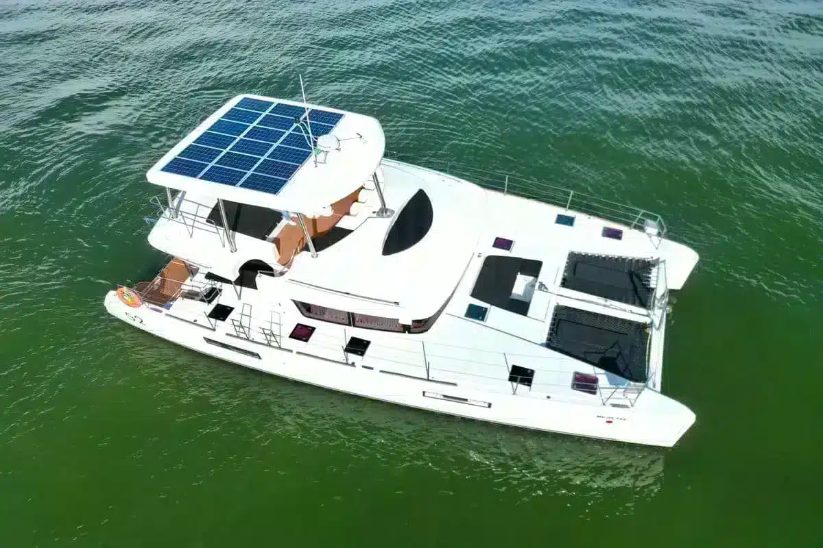 Catamarán Powercat Sea Warriors - Image 13