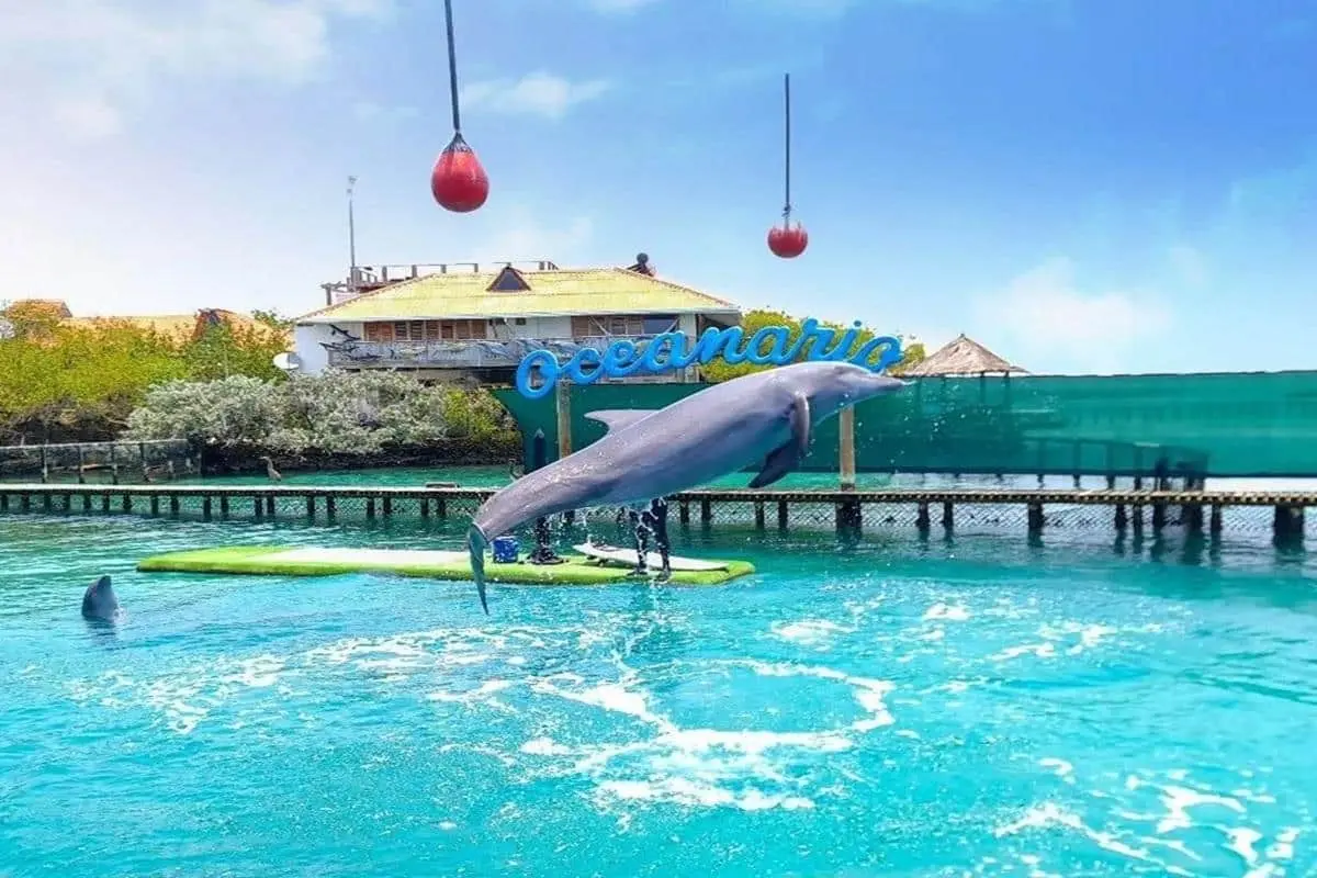 Tour 4 Destinos + Oceanario